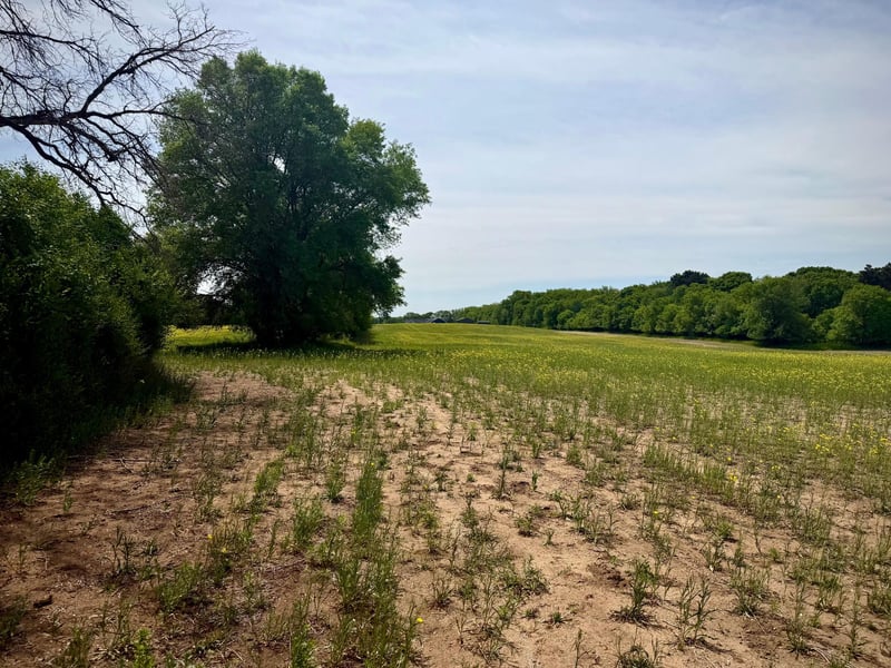 TBD-10AC 87th St SE, Becker, MN 55308