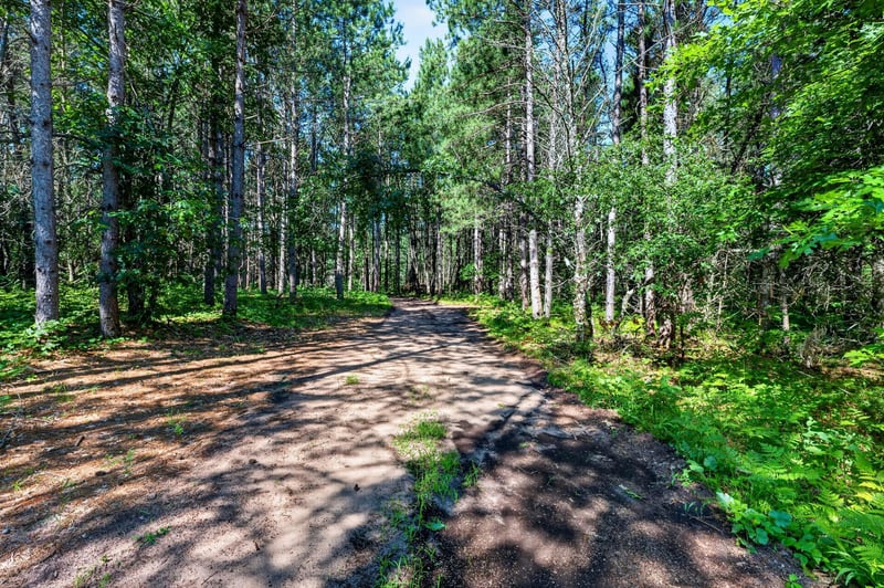 26131 Ostergren Rd, Webster, WI 54893