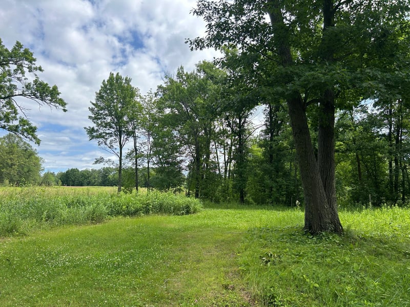 11XXX State Highway 65, Mcgrath, MN 56350