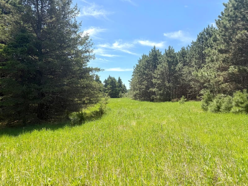 TBD-20AC Sleepy Hollow Rd, Brainerd, MN 56401