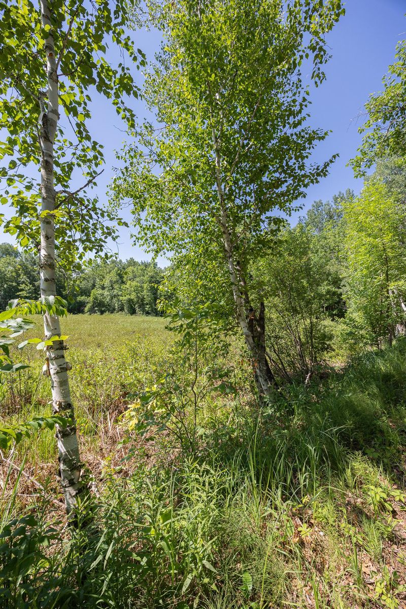 TBD County 5, Hackensack, MN 56452