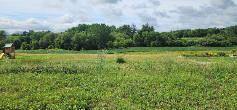 1042 3rd St, Wanamingo, MN 55983