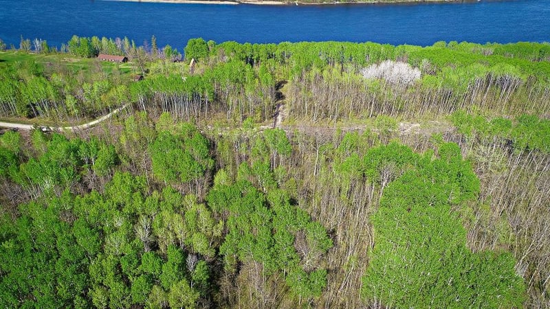 Lot 8 - TBD Driftwood Ln NW, Baudette, MN 56623