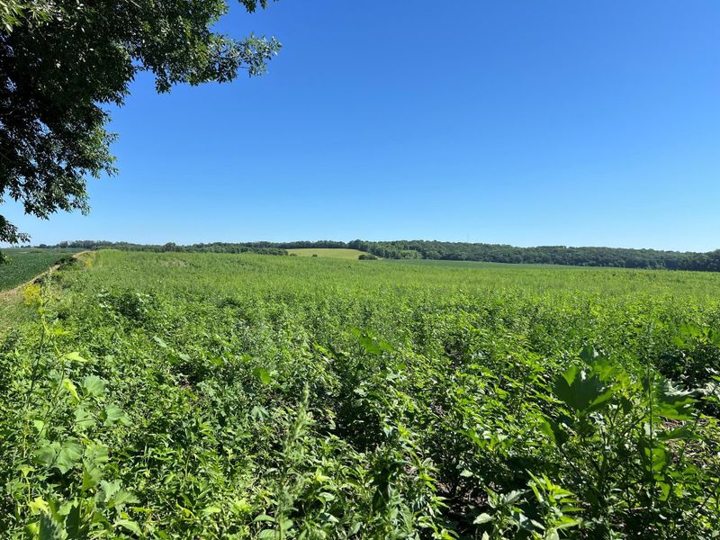 000 330th, Ashby, MN 56309