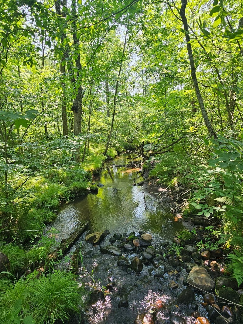 49 acres 16th Ave, Cameron, WI 54822