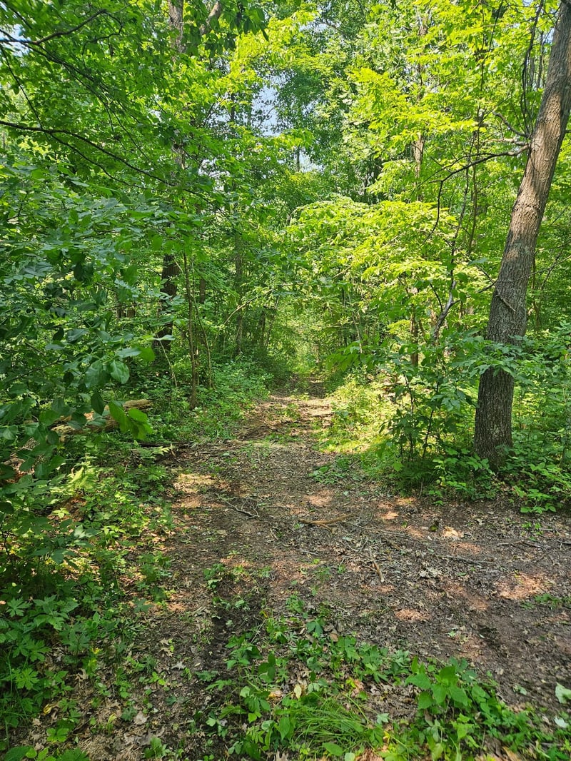 49 acres 16th Ave, Cameron, WI 54822
