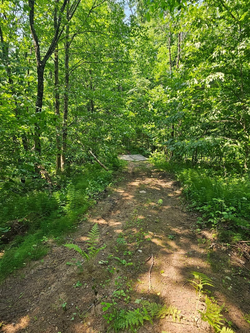49 acres 16th Ave, Cameron, WI 54822