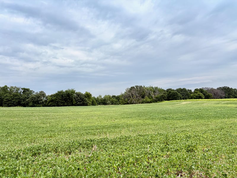 0 County Road 5 NW, Isanti, MN 55040