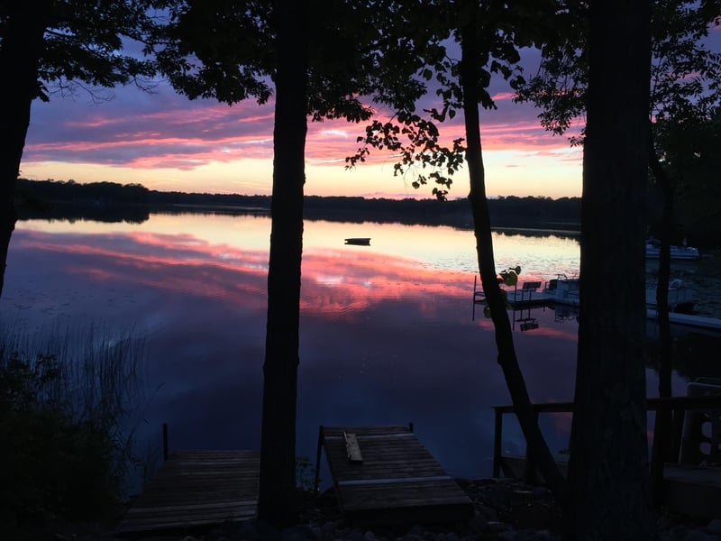 21283 Pine Tree Ln, Deerwood, MN 56444