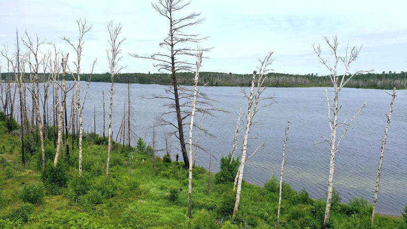 2377 N Mcdougal Ln, Isabella, MN 55607