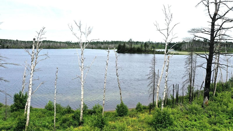 2377 N Mcdougal Ln, Isabella, MN 55607