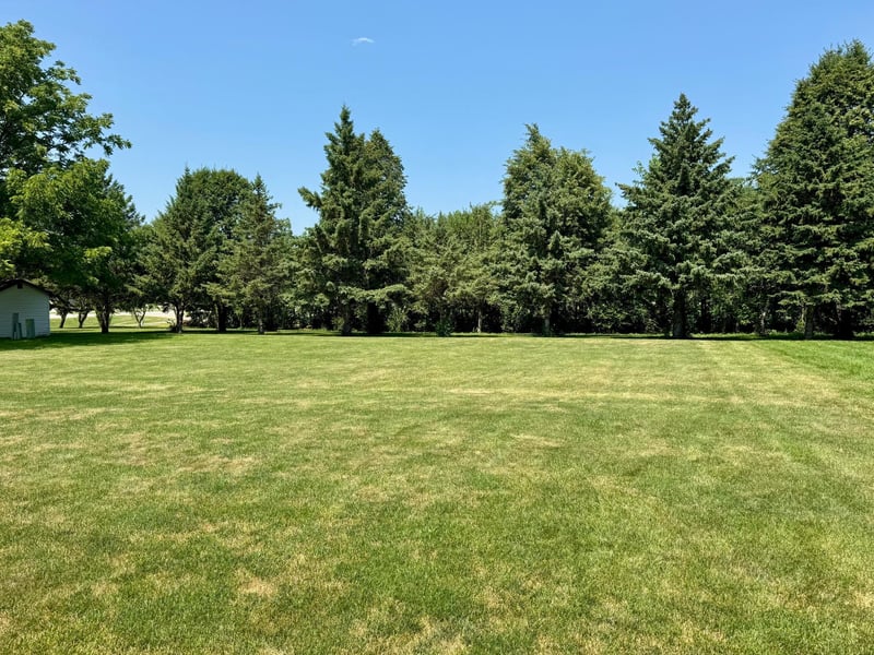 1206 Viking Dr, Olivia, MN 56277