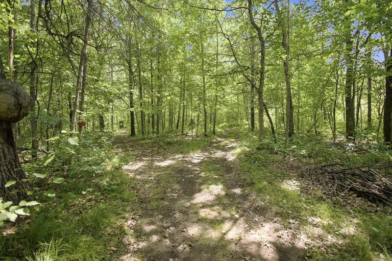 26670 Foxes Landing Rd, Grantsburg, WI 54840