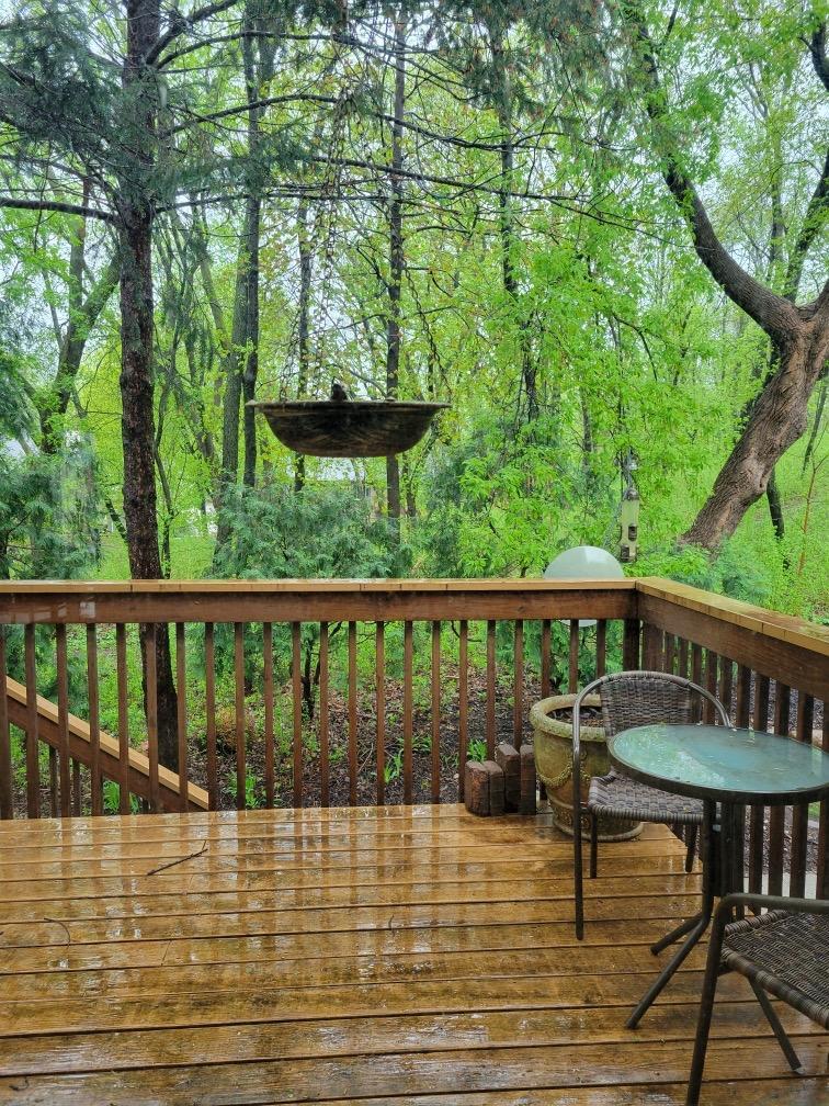 293 River Woods Ln, Burnsville, MN 55337