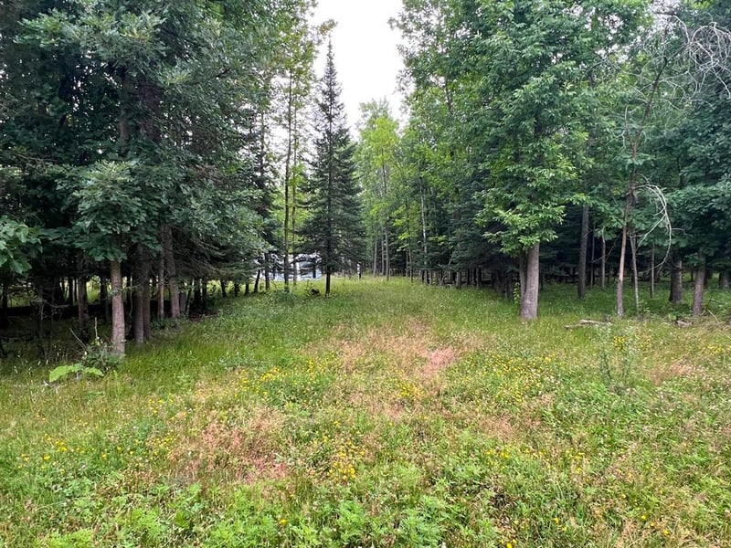 42228 County Road 234, Cohasset, MN 55721