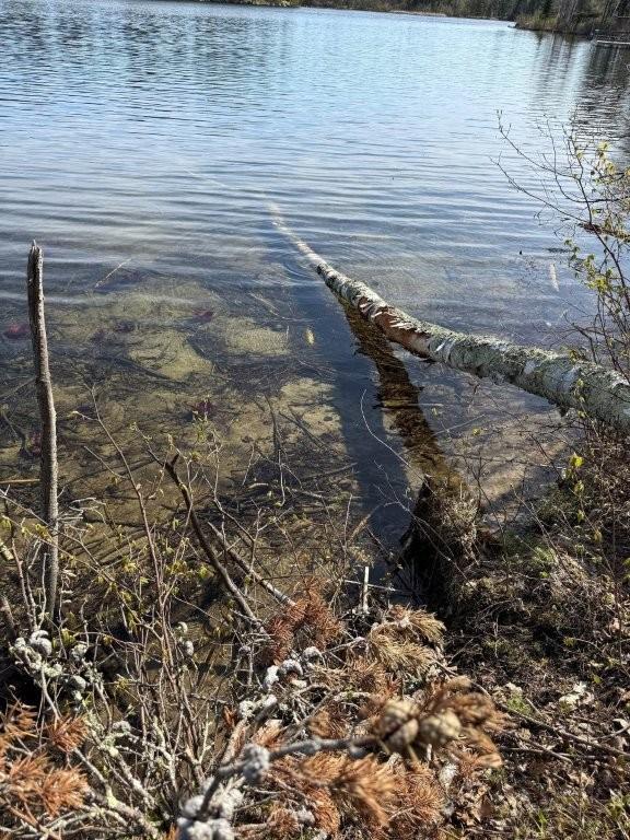 000 Power Dam Rd NE, Bemidji, MN 56601