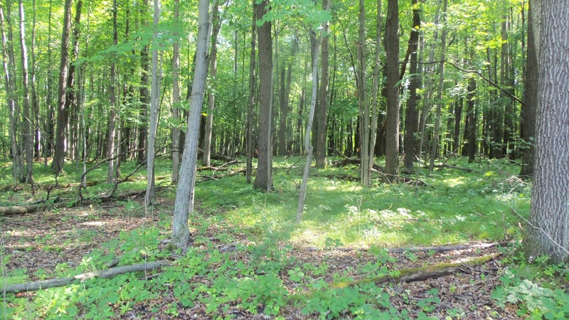 Lot 6 Howard Johnson Trl, Siren, WI 54872
