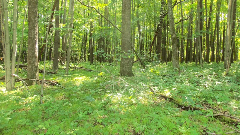 Lot 6 Howard Johnson Trl, Siren, WI 54872