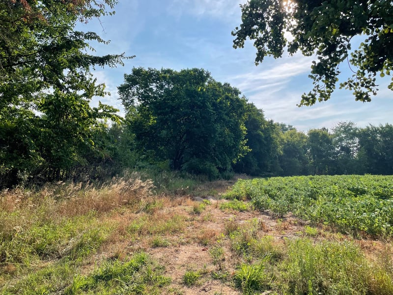 XXX 130th Ave, Milaca, MN 56353