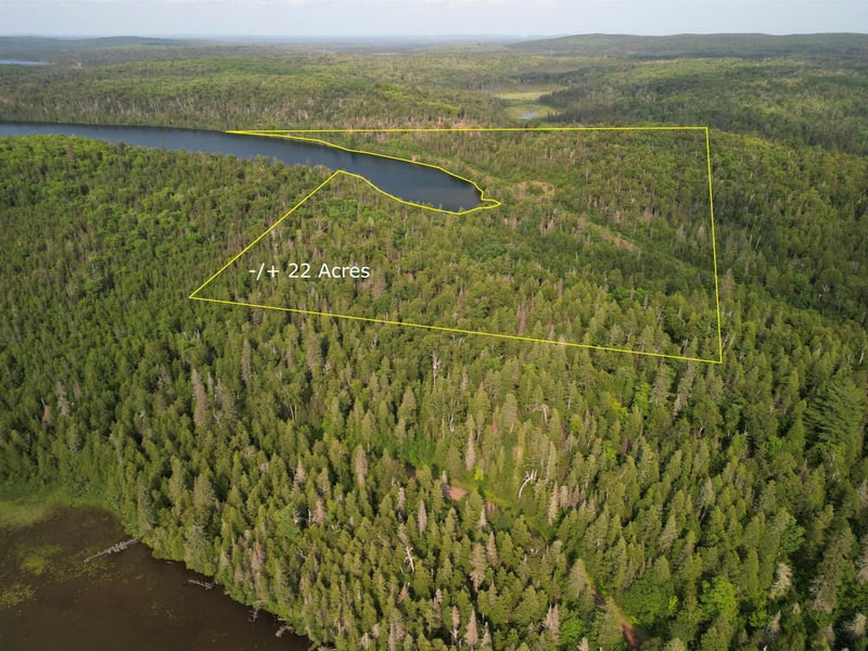 9041 Cramer Rd, Finland, MN 55603