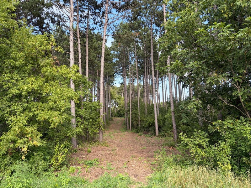 0 Tulip St NW, Stanchfield, MN 55080