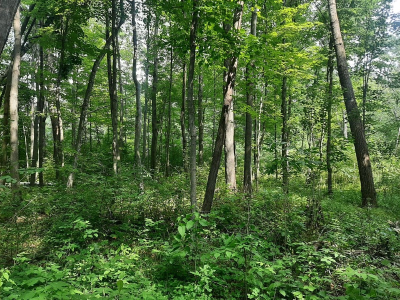 TBD Xxx 279th St, Osceola, WI 54020