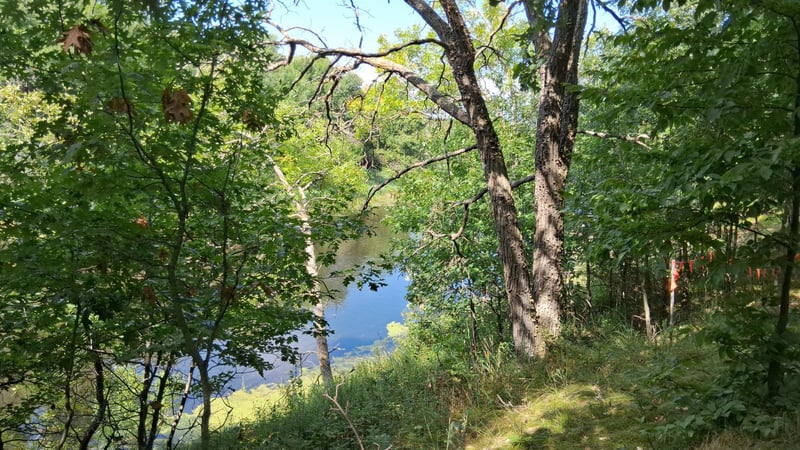 38869 Odin Ct, Browerville, MN 56438