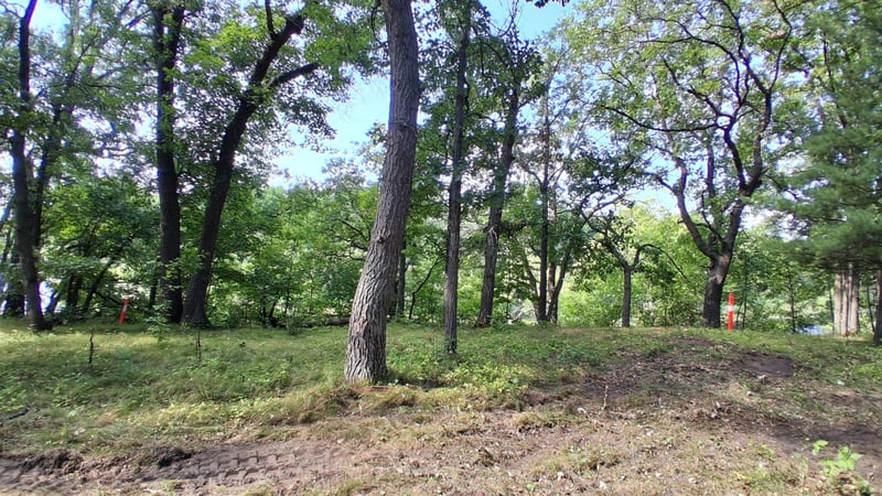 38869 Odin Ct, Browerville, MN 56438