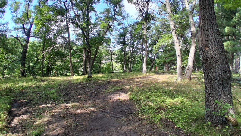38869 Odin Ct, Browerville, MN 56438