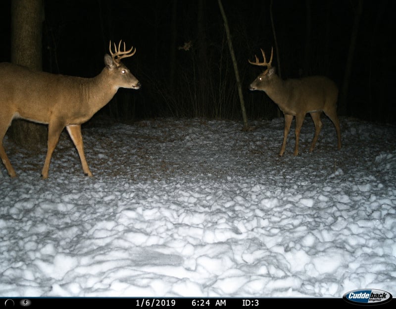 TBD 120th St, Wannaska, MN 56761
