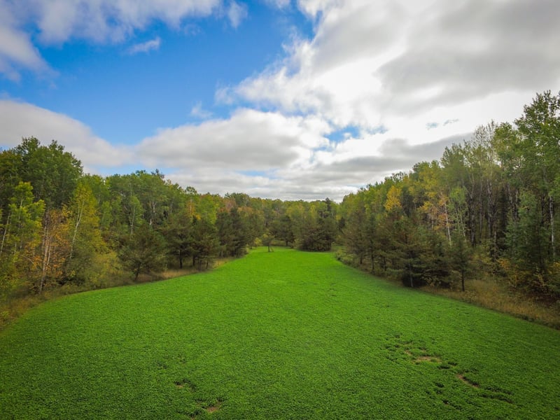 TBD 120th St, Wannaska, MN 56761