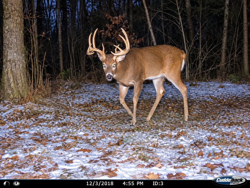 TBD 120th St, Wannaska, MN 56761