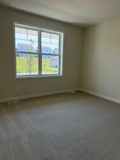 19301 Everglade Pa, Farmington, MN 55024