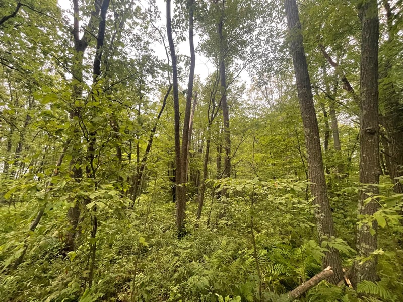 2668 Quail St, Brook Park, MN 55007