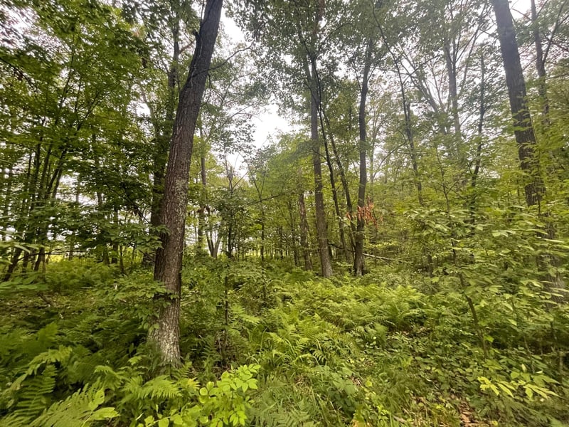 2668 Quail St, Brook Park, MN 55007