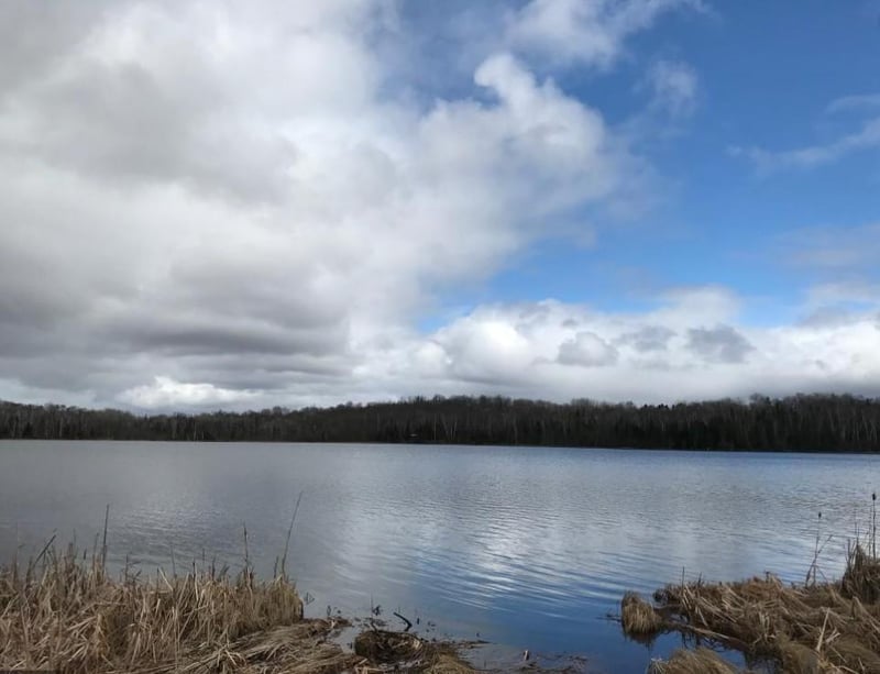 XXX Brandon Rd, Brookston, MN 55720