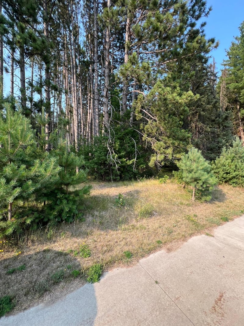 TBD Ridgwood, Grand Rapids, MN 55744