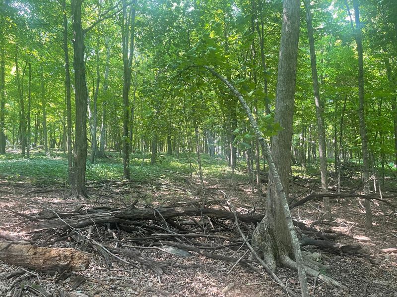TBD 190th St, Centuria, WI 54824