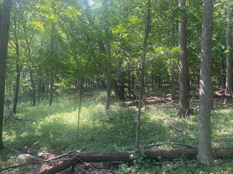 TBD 190th St, Centuria, WI 54824