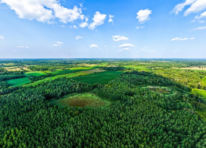 TBD Buzzle Rd NW, Shevlin, MN 56676