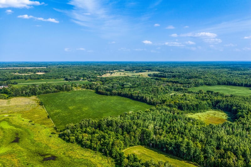 TBD Buzzle Rd NW, Shevlin, MN 56676