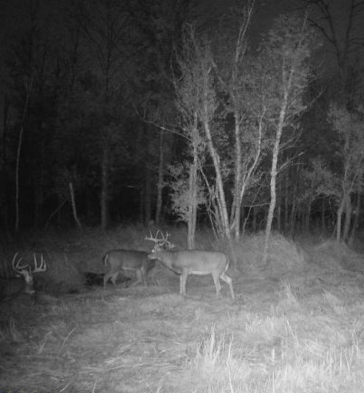 TBD 580th St, Deer Creek, MN 56527