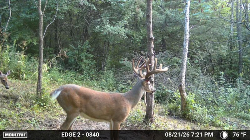 15XXX Welch Short Cut, Welch, MN 55089