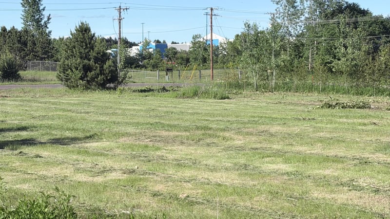 TBD Tall Pine Ln, Cloquet, MN 55720
