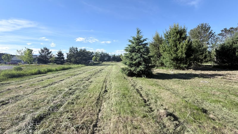 TBD Tall Pine Ln, Cloquet, MN 55720