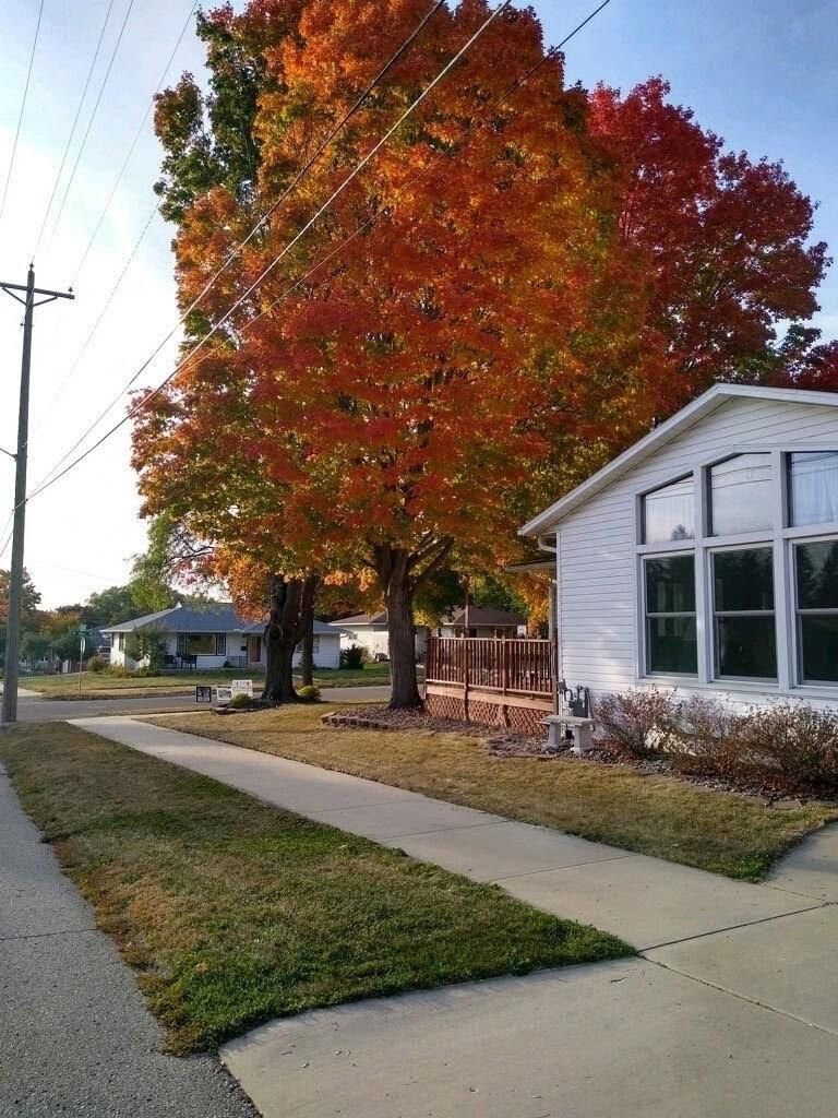 900 19th Ave NE, Rochester, MN 55906