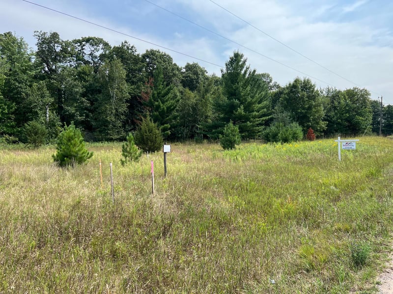 TBD Elmcrest Ave, Stacy, MN 55079