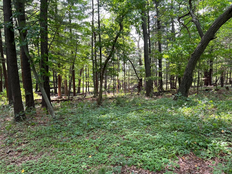 TBD Elmcrest Ave, Stacy, MN 55079