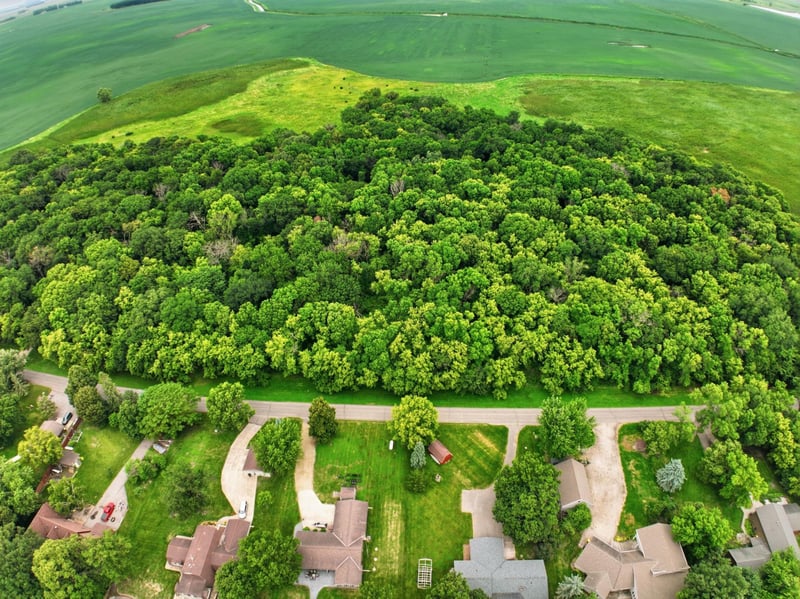 Lot 1 123rd Ave SE, Lake Lillian, MN 56253