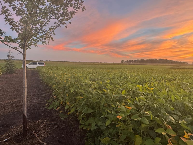 TBD 115th St NE, Foley, MN 56329